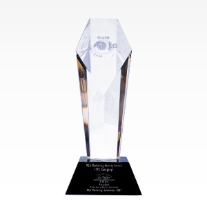 جایزه بهترین آگهی تلویزیونی LG در دنیا - سال 2007
