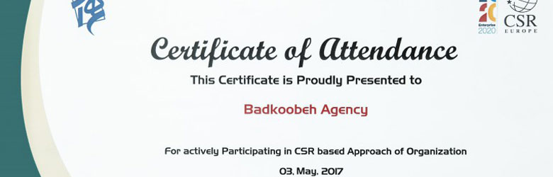the certificate of social responsibility effort